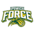 伊普斯维奇部队